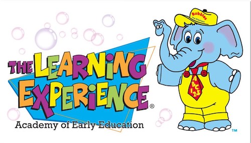 Our partner The Learning Experience logo